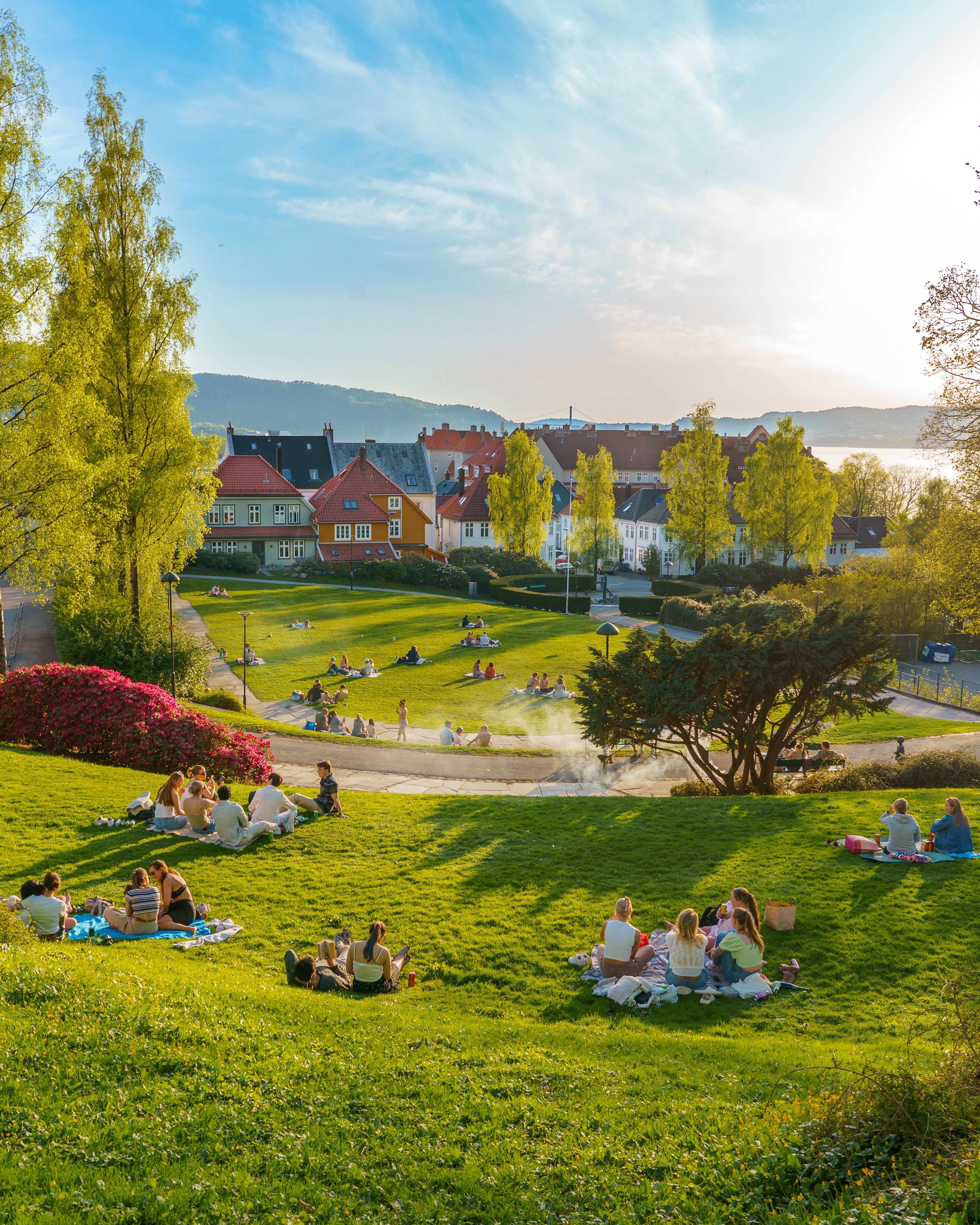 People relaxing on a green lawn in a park in Bergen on a sunny day — photo from the Bergen travel guide.
