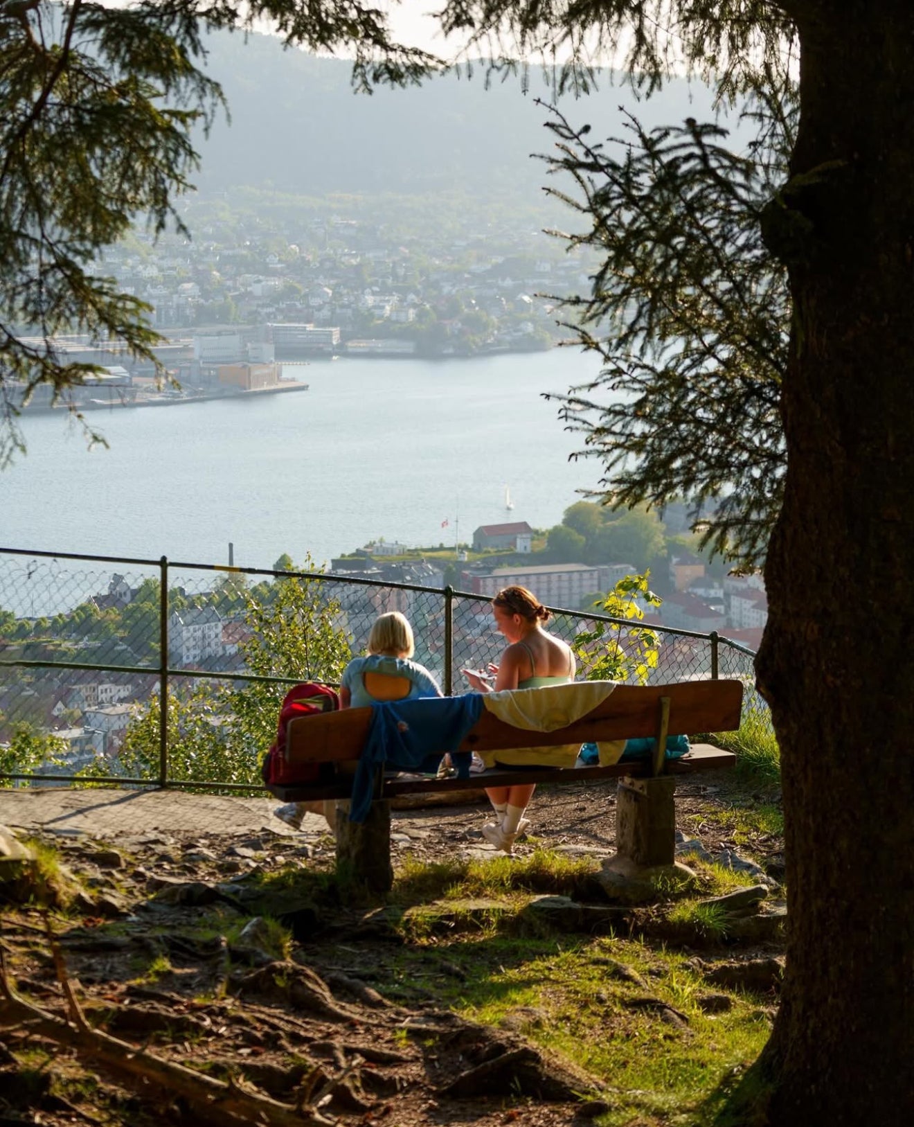 Two people sitting on a wooden bench under the shade of trees on Mount Fløyen, looking at the sunny harbor and city of Bergen, Norway.